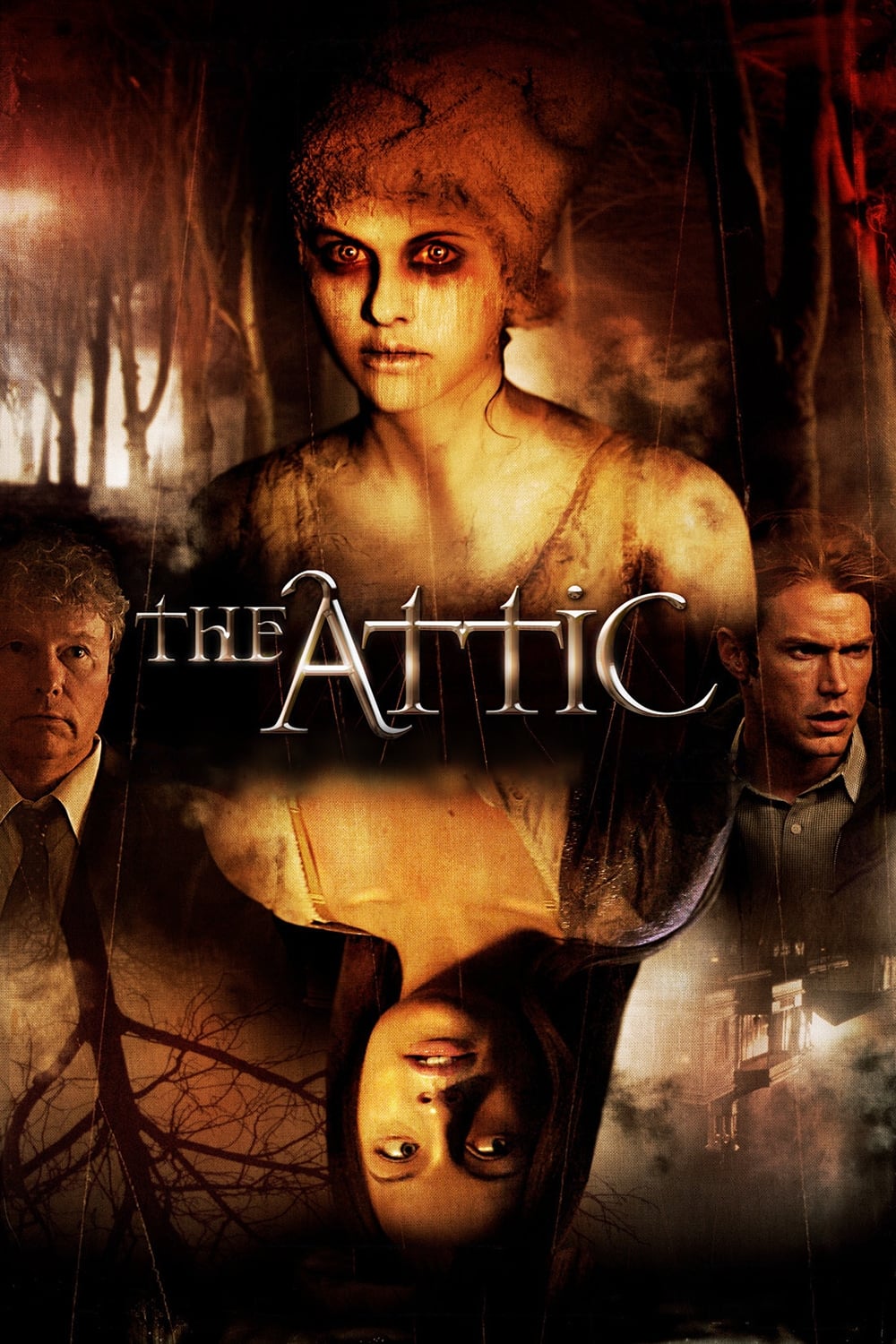 Постер The Attic